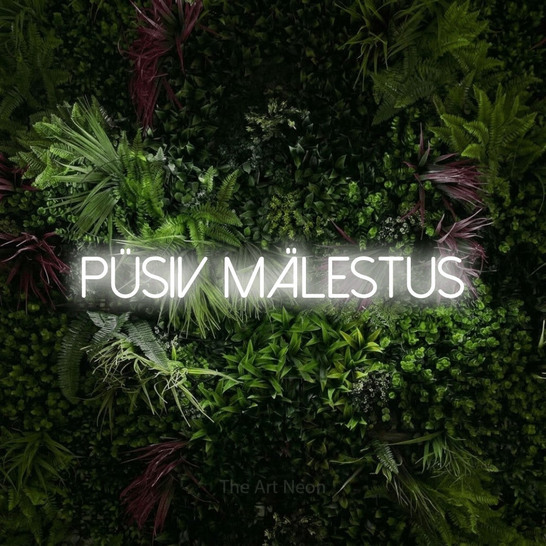 LED neon sign reading “püsiv mälestus”, arranged in a single line.