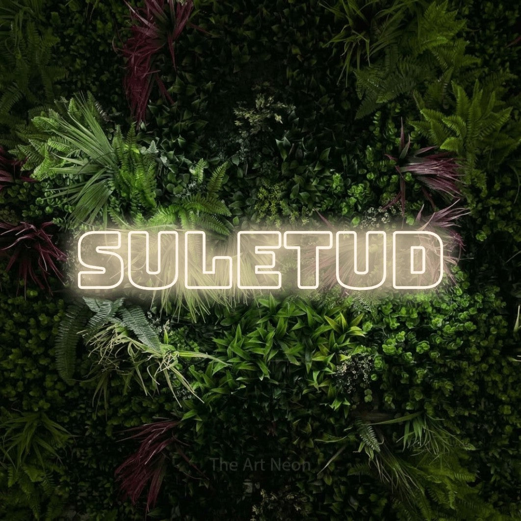 LED neon sign reading “SULETUD”, arranged in a single line.