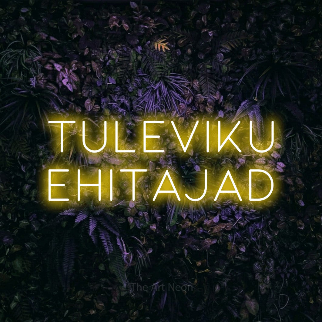 LED neon sign reading “TULEVIKU EHITAJAD”, arranged in two lines.