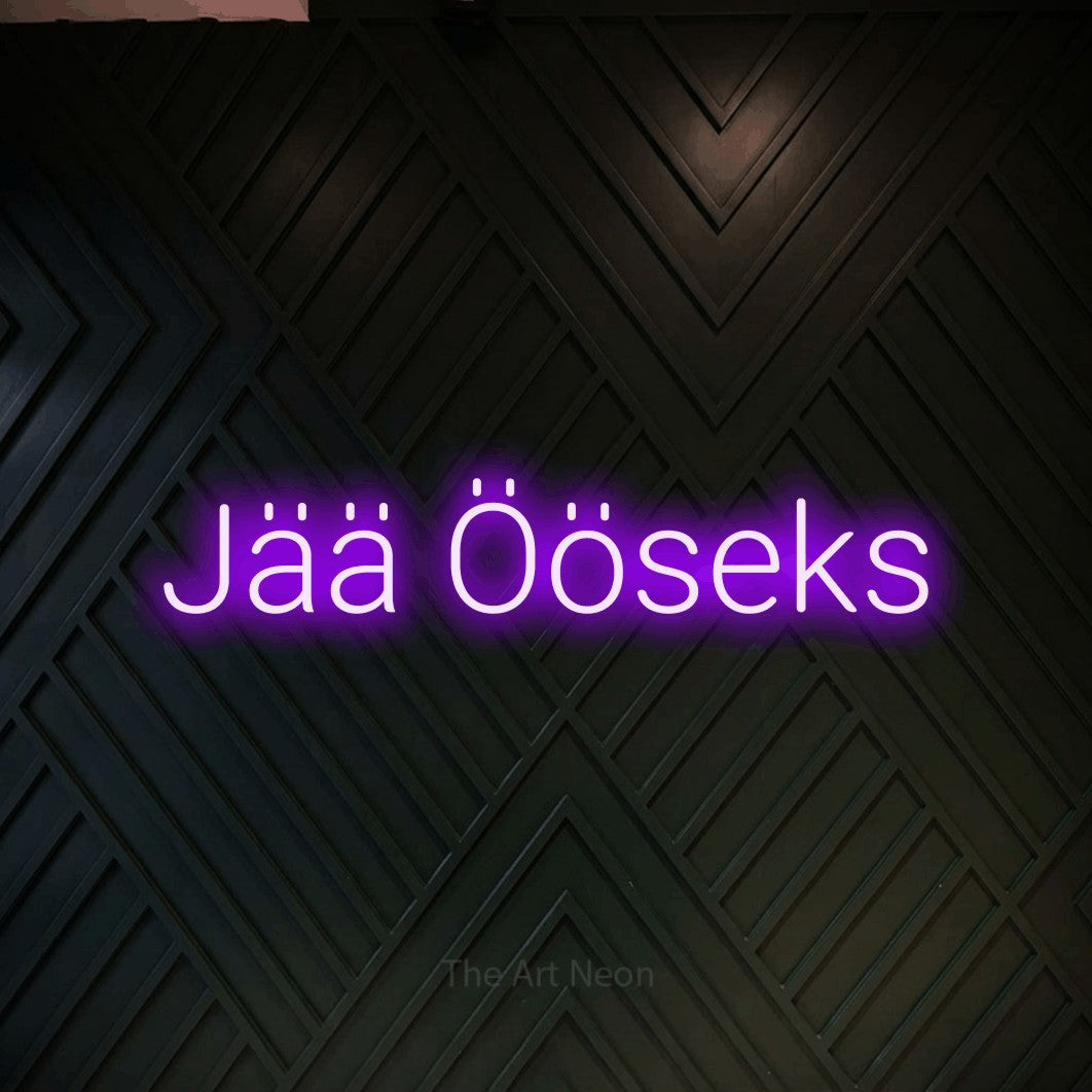 LED neon sign reading “Jää Ööseks”, arranged in a single line.