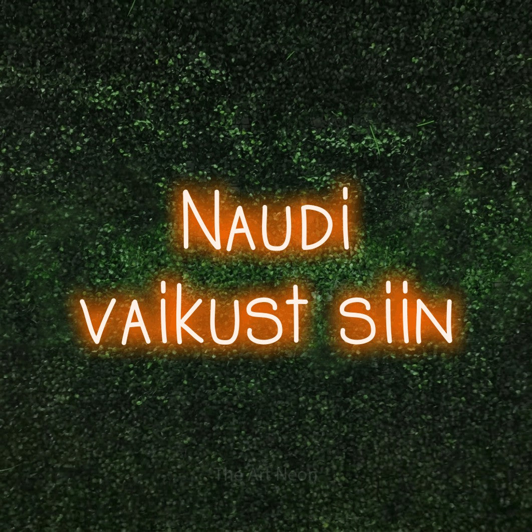 LED neon sign reading “Naudi vaikust siin”, arranged in two lines.