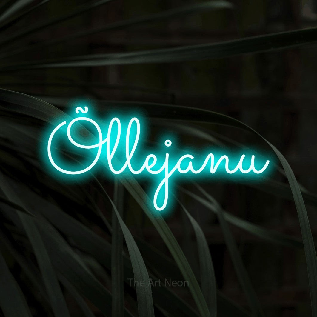 LED neon sign reading “Õllejanu”, arranged in a single line.