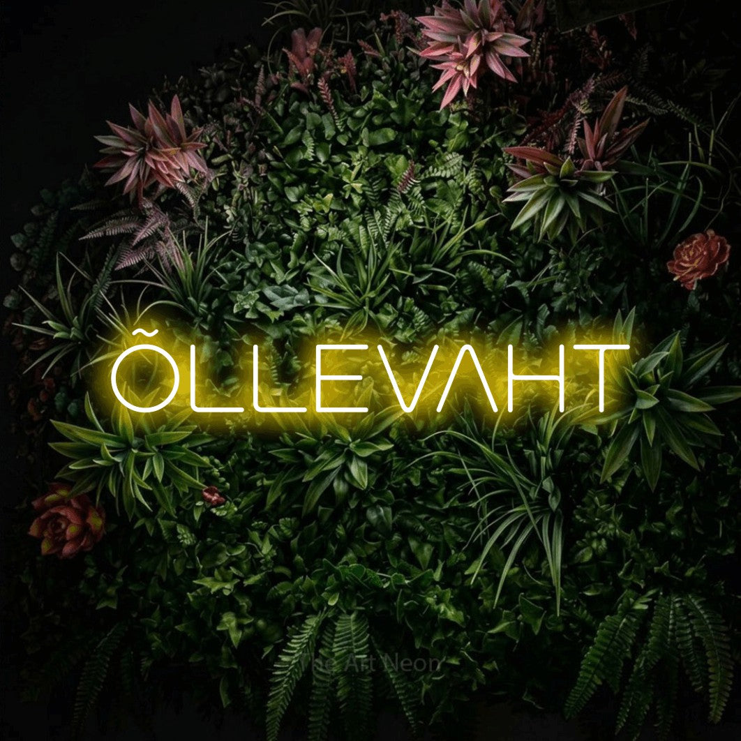LED neon sign reading “ÕLLEVAHT”, arranged in a single line.