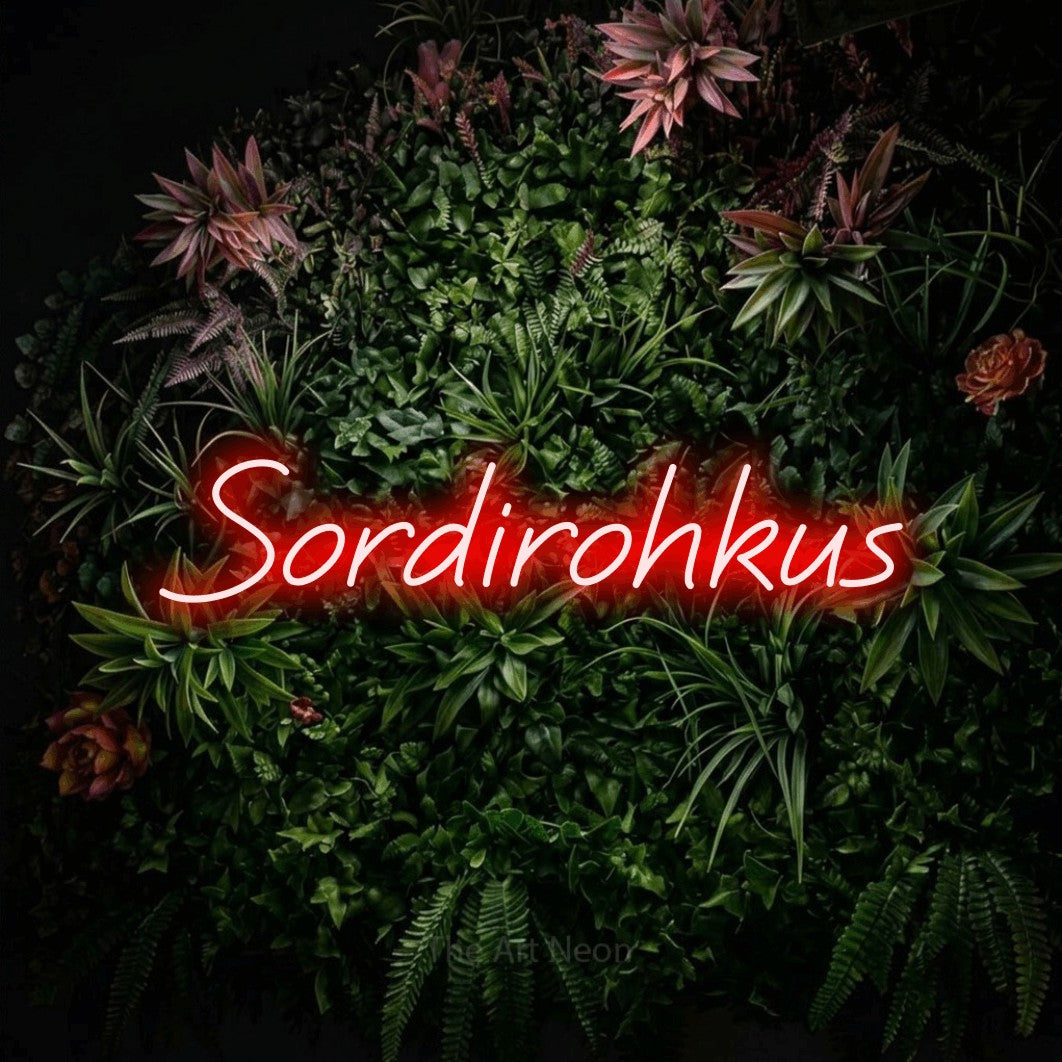 LED neon sign reading “Sordirohkus”, arranged in a single line.