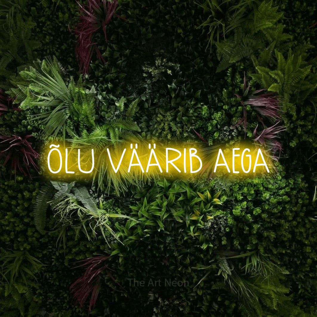 LED neon sign reading “ÕLU VÄÄRIB AEGA”, arranged in a single line.