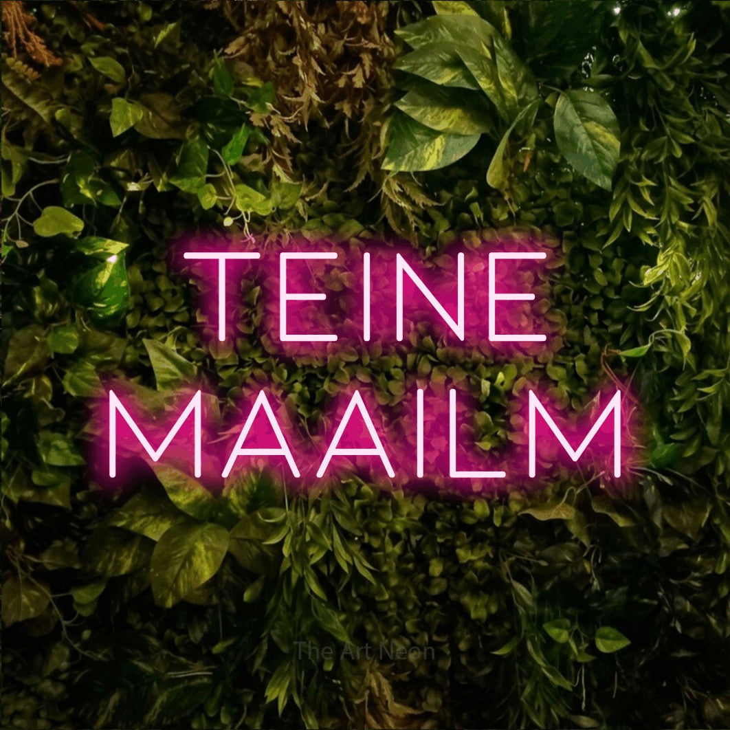 LED neon sign reading “Teine Maailm”, arranged in two lines.