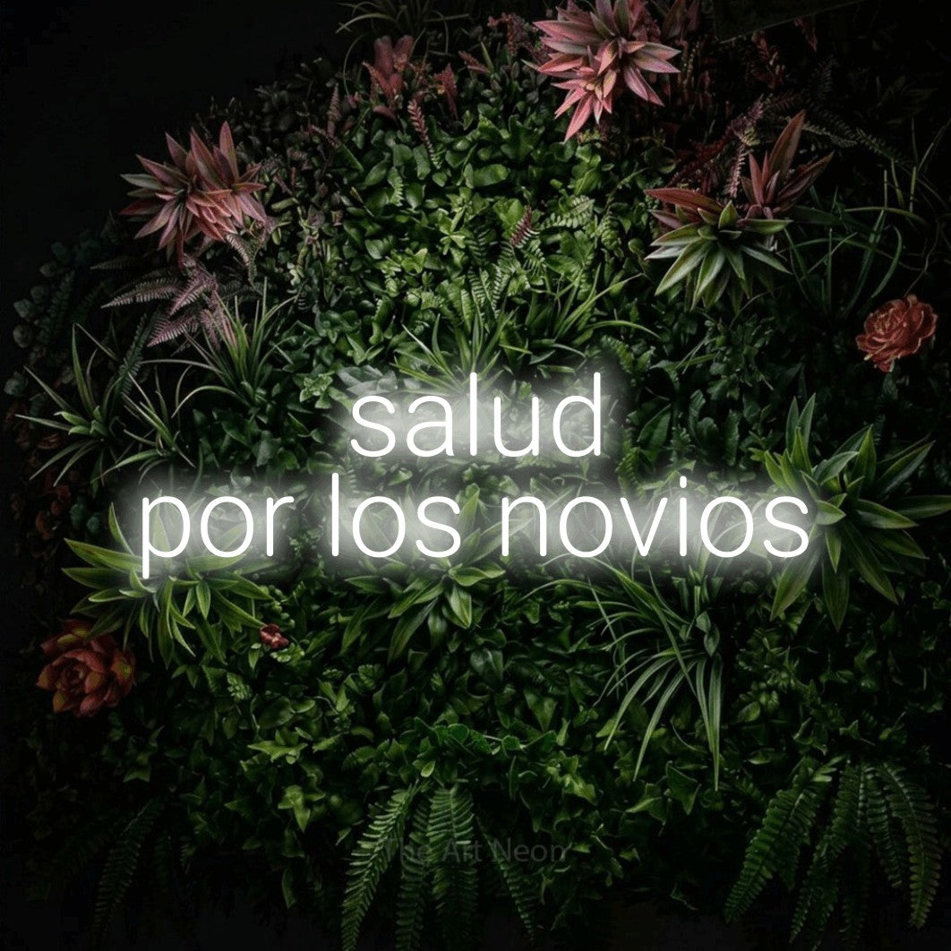 LED neon sign reading “salud por los novios”, arranged in 2 lines.