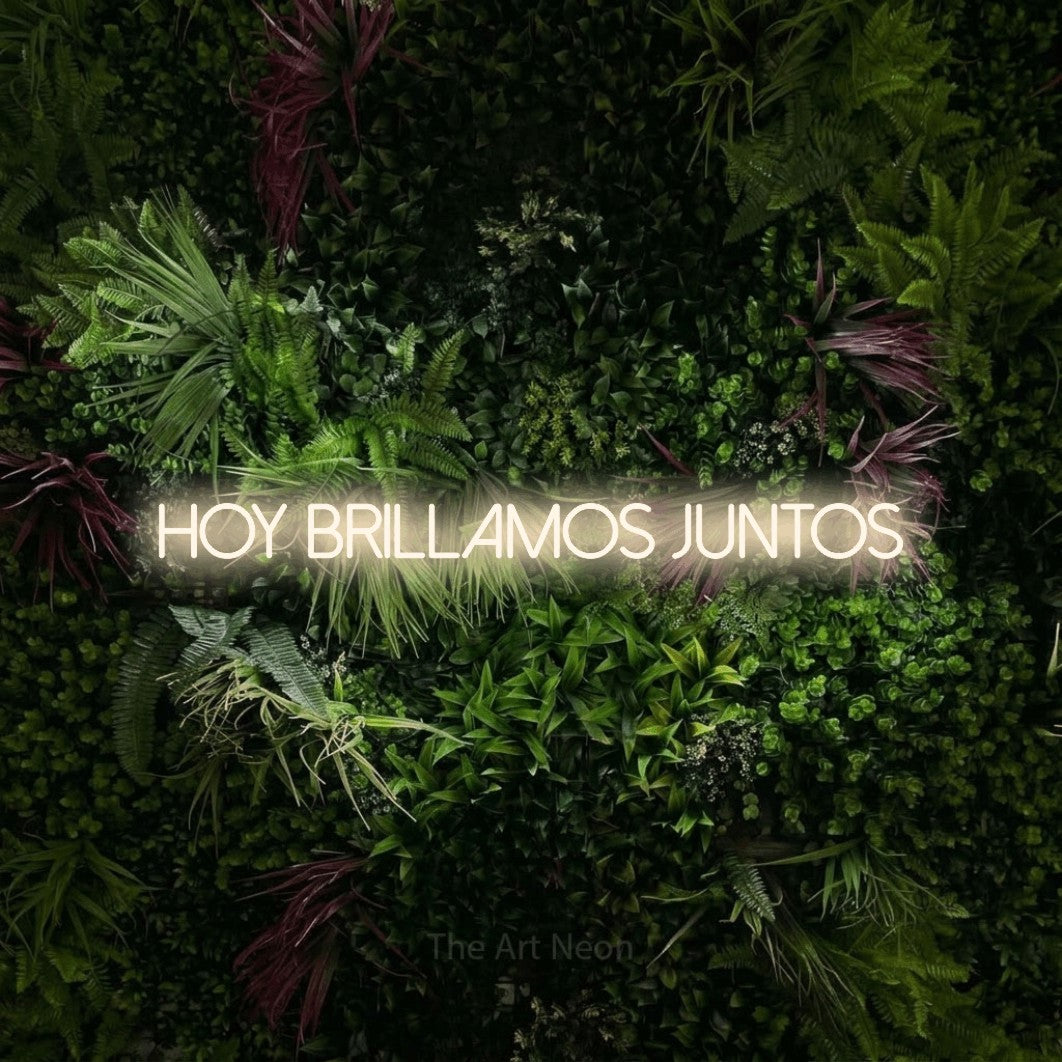 LED neon sign reading “hoy brillamos juntos”, arranged in a single line.