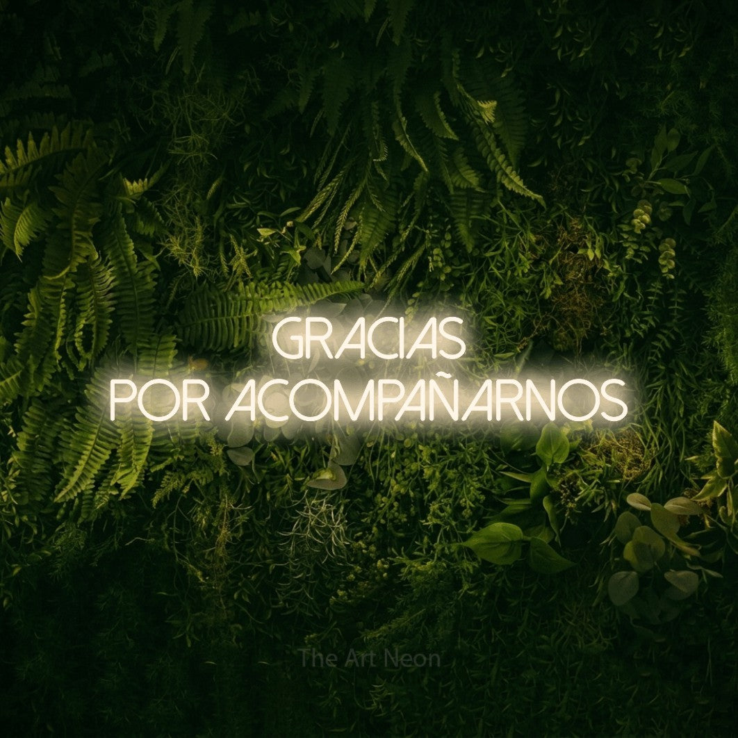 LED neon sign reading “Gracias por Acompañarnos”, arranged in 2 lines.