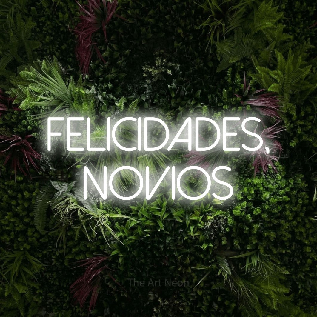 LED neon sign reading “FELICIDADES, novios”, arranged in 2 lines.