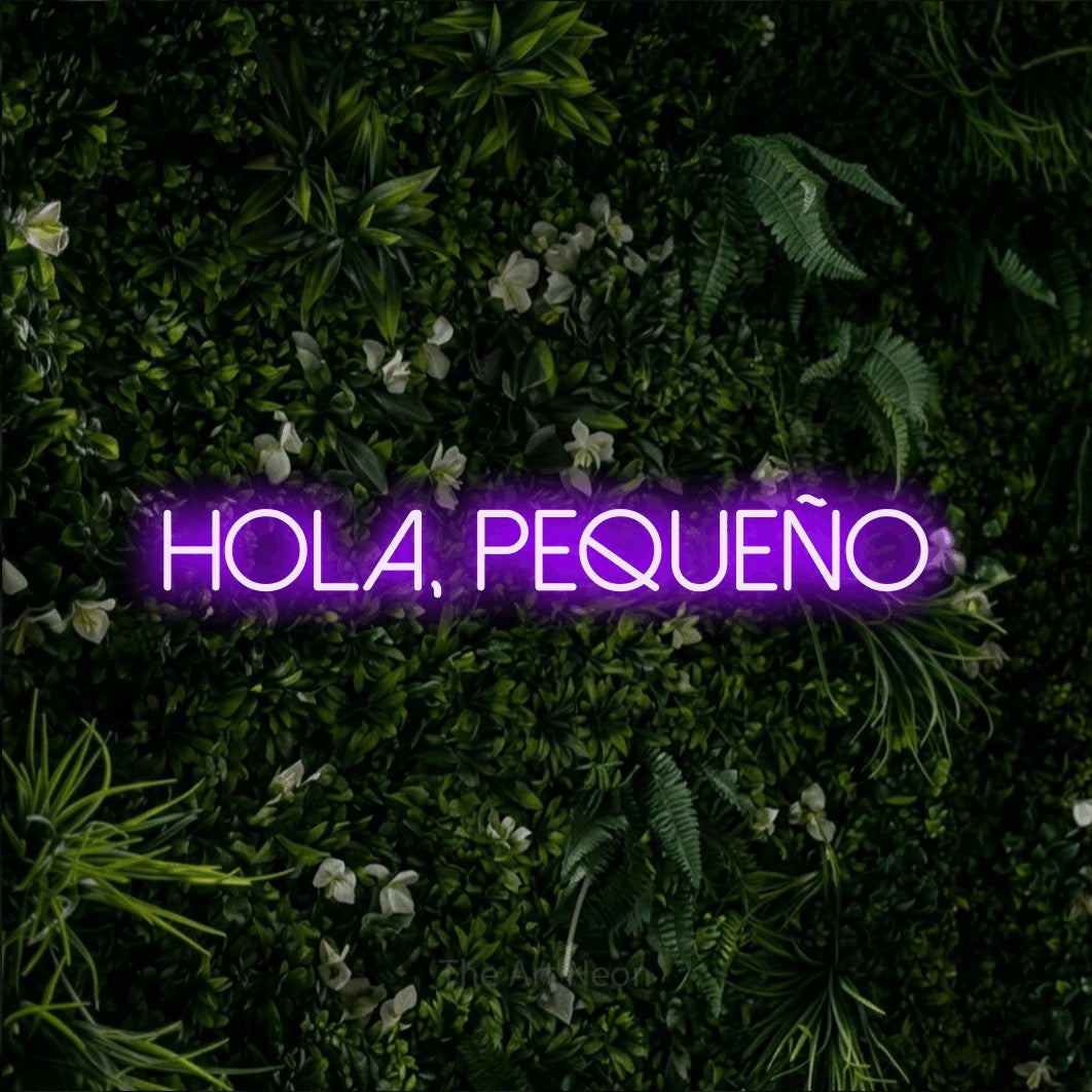 LED neon sign reading “hola, PEQUEÑO”, arranged in a single line.