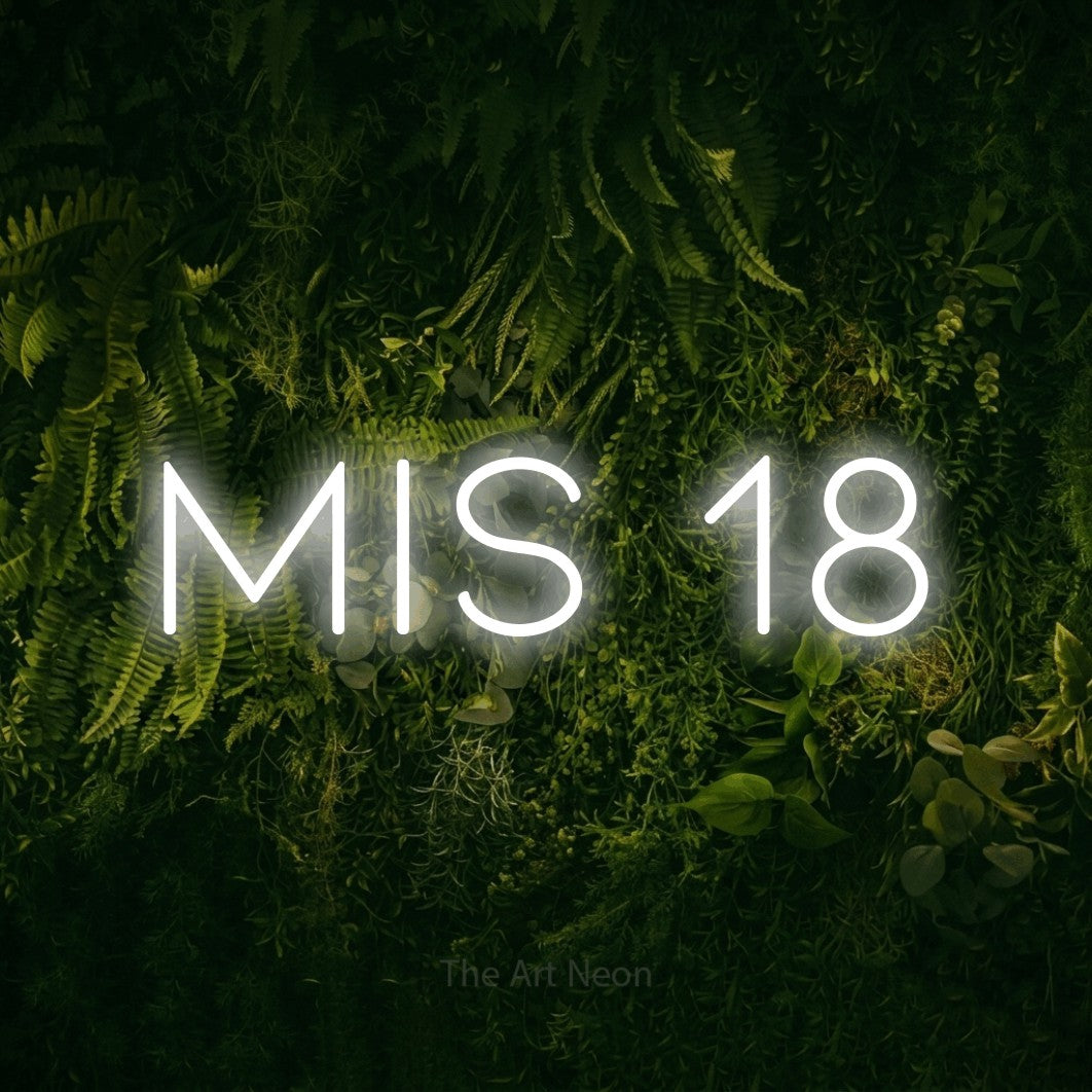 LED neon sign reading “mis 18”, arranged in a single line.