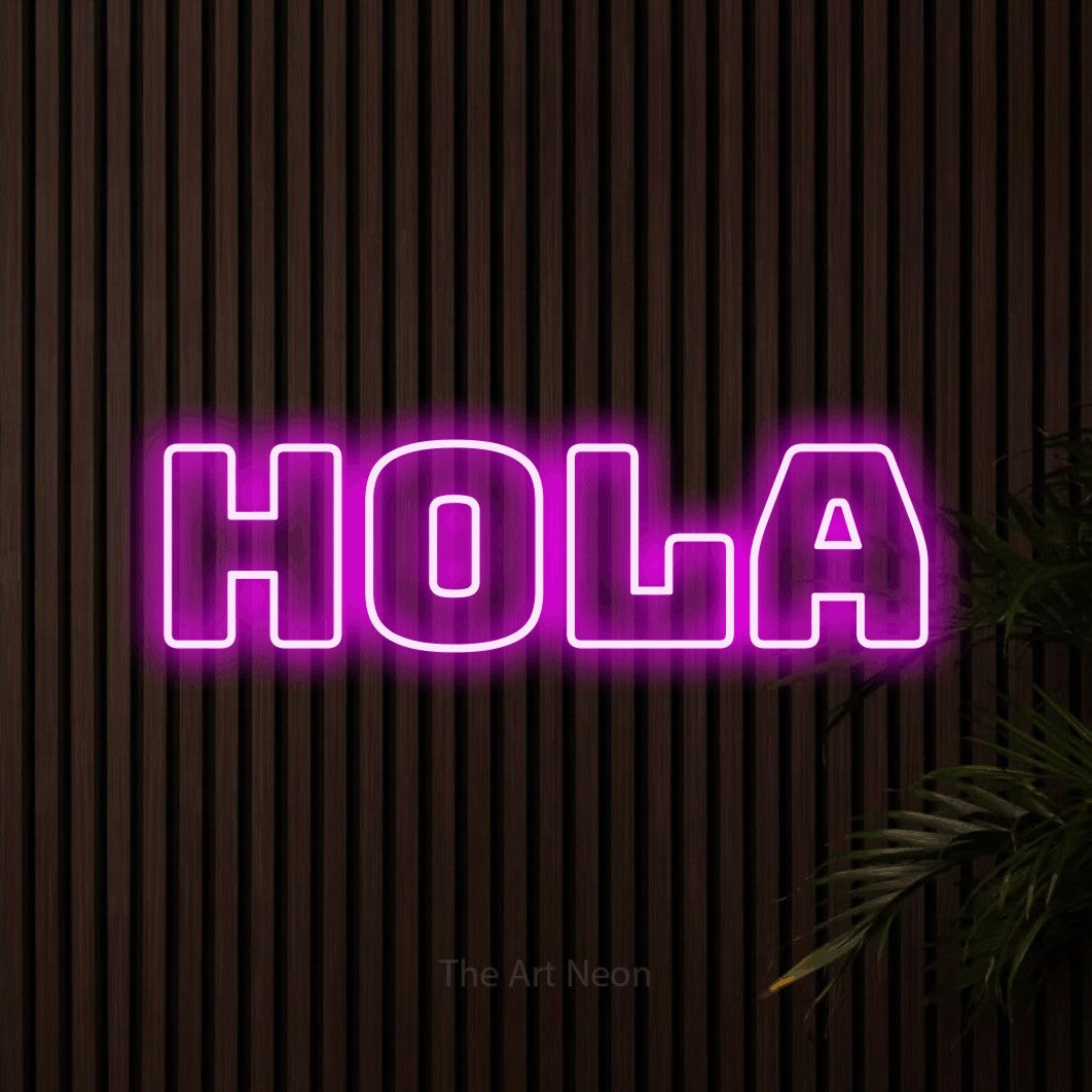 LED neon sign reading “hola”, arranged in a single line.