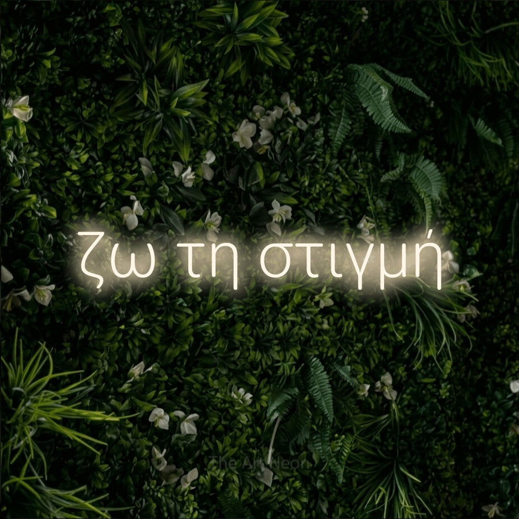 LED neon sign reading “ζω τη στιγμή”, arranged in a single line.