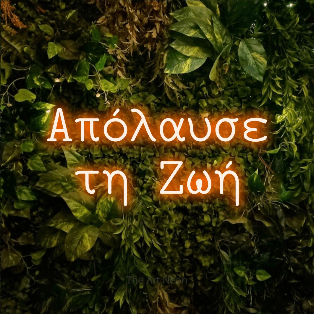 LED neon sign reading “Απόλαυσε τη Ζωή”, arranged in two lines.
