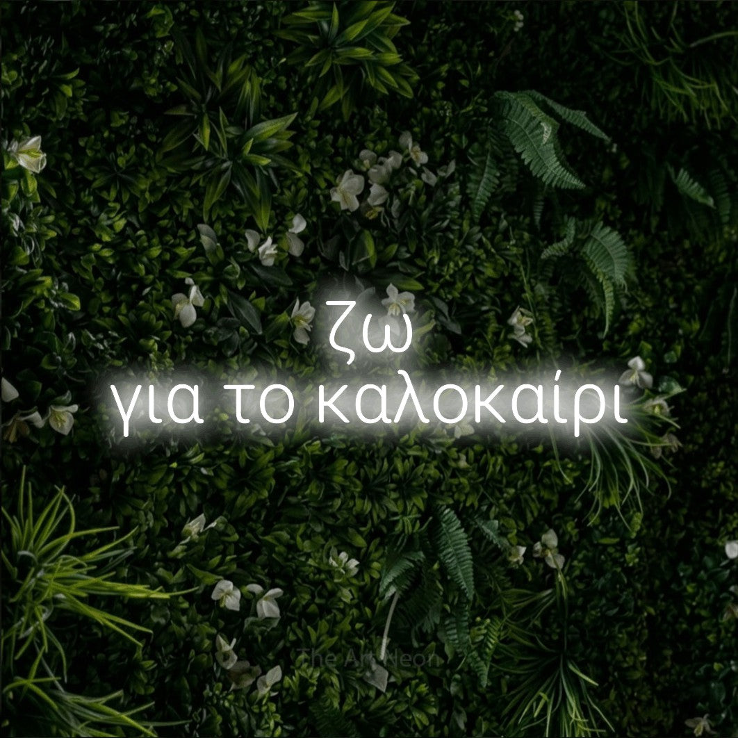 LED neon sign reading “ζω για το καλοκαίρι”, arranged in two lines.