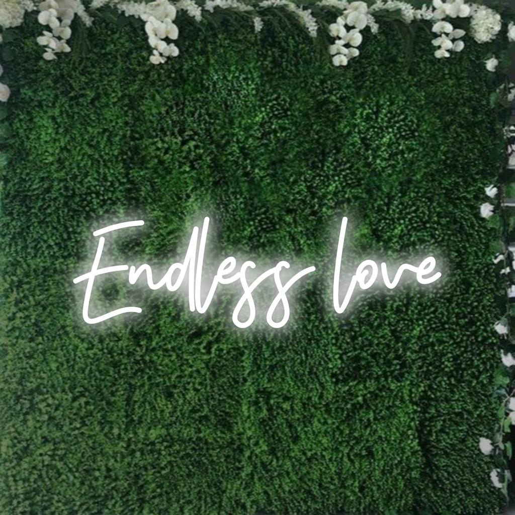 Brugerdefineret LED-neonskilt med Endless Love i livlige farver, perfekt til personlig neonindretning i alle omgivelser.