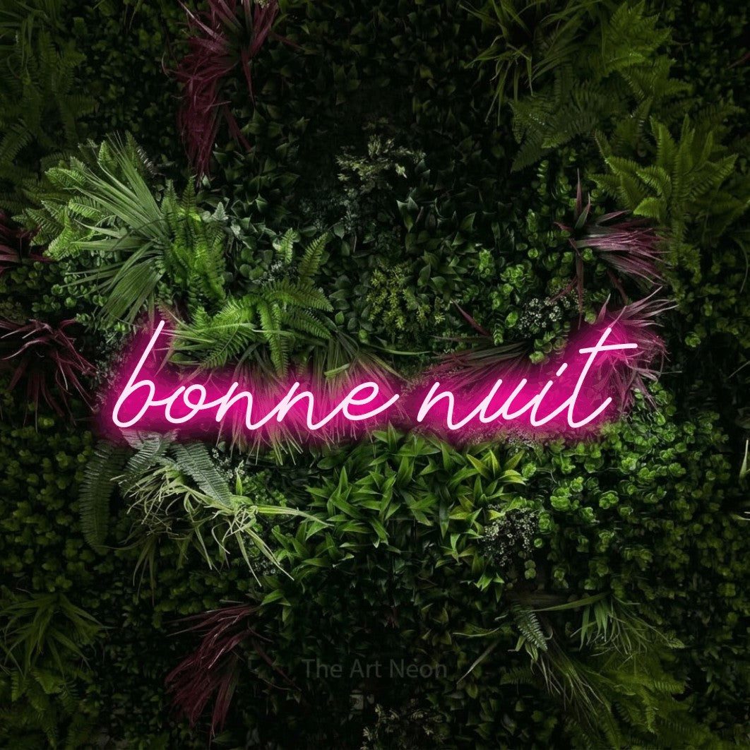 LED neon sign reading “bonne nuit”, arranged in a single line.