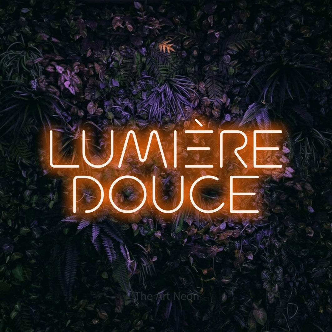 LED neon sign reading “LUMIÈRE DOUCE”, arranged in 2 lines.