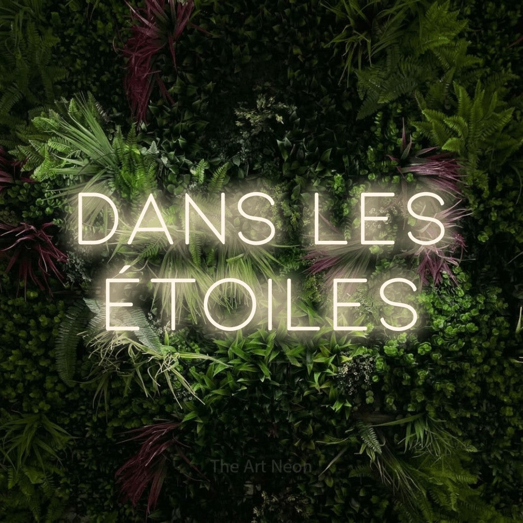 LED neon sign reading “Dans Les Étoiles”, arranged in 2 lines.