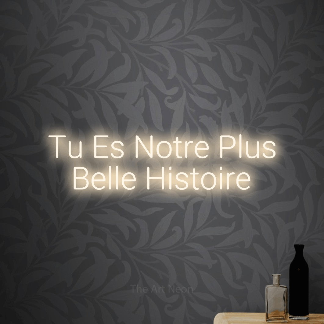 LED neon sign reading “Tu Es Notre Plus Belle Histoire”, arranged in 2 lines.