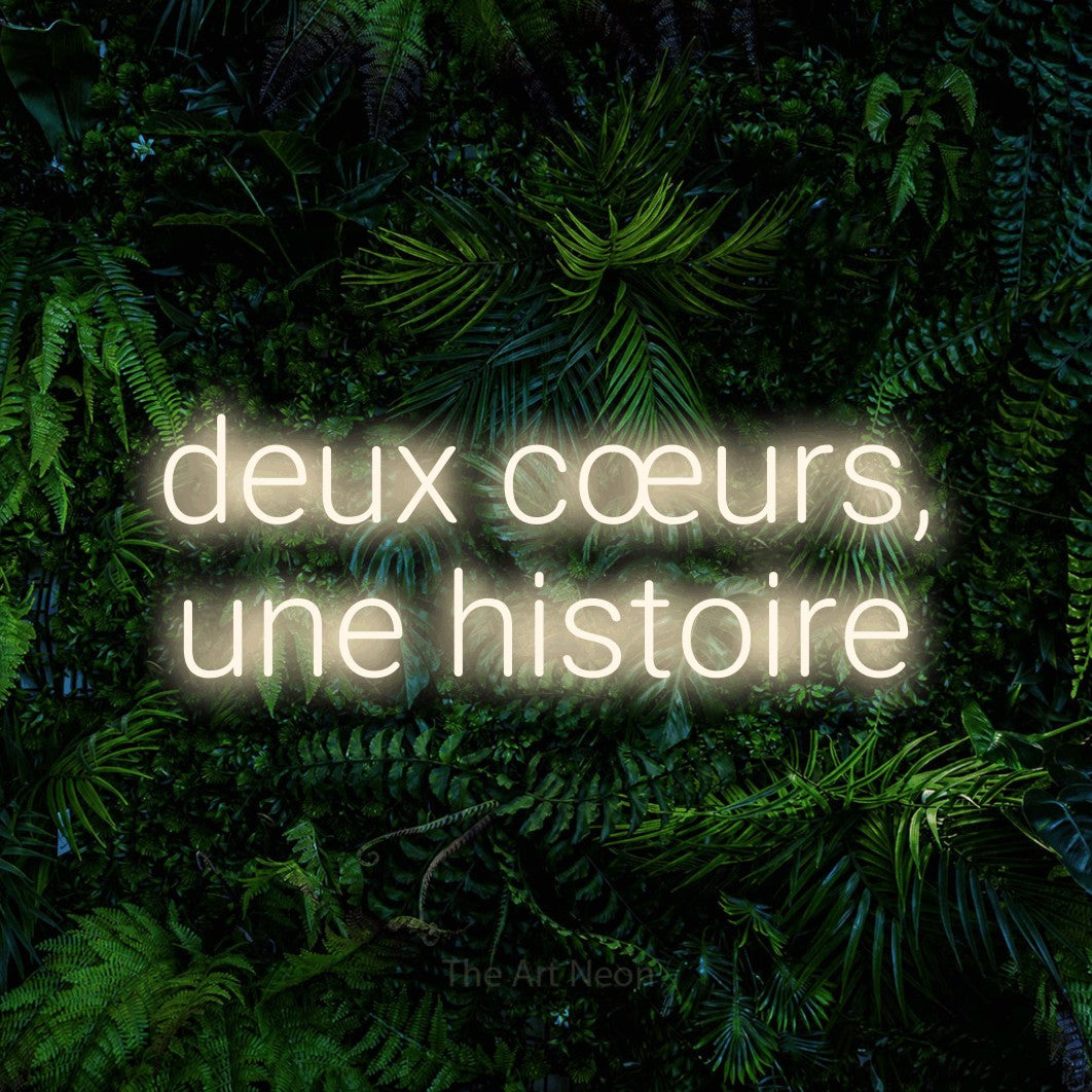 LED neon sign reading “deux cœurs, une histoire”, arranged in 2 lines.
