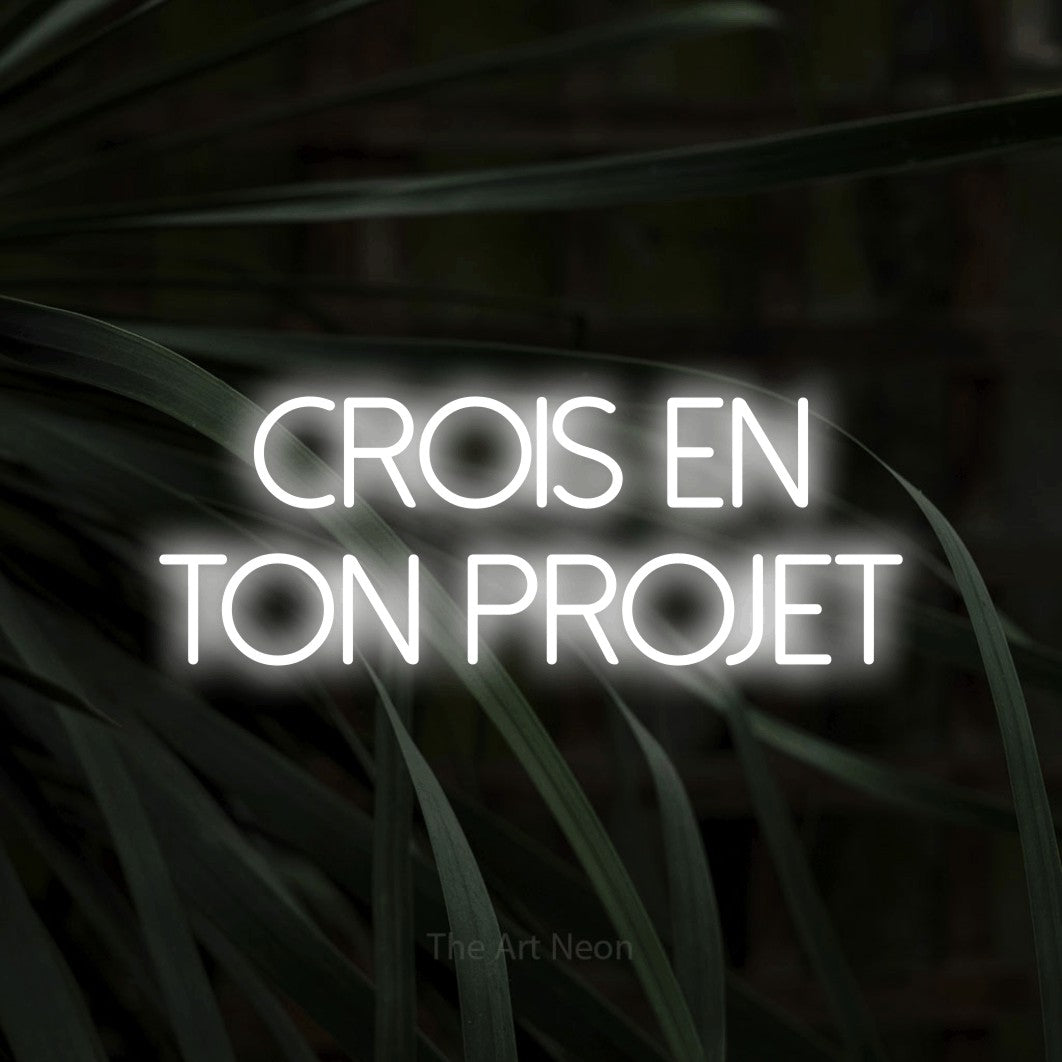 LED neon sign reading “crois en ton projet”, arranged in 2 lines.