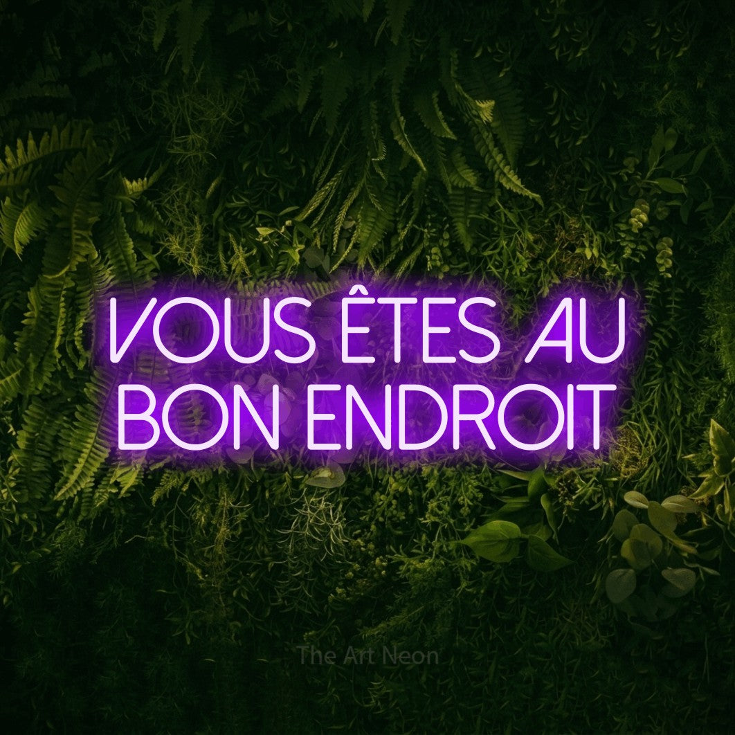 LED neon sign reading “vous êtes au bon ENDROIT”, arranged in 2 lines.