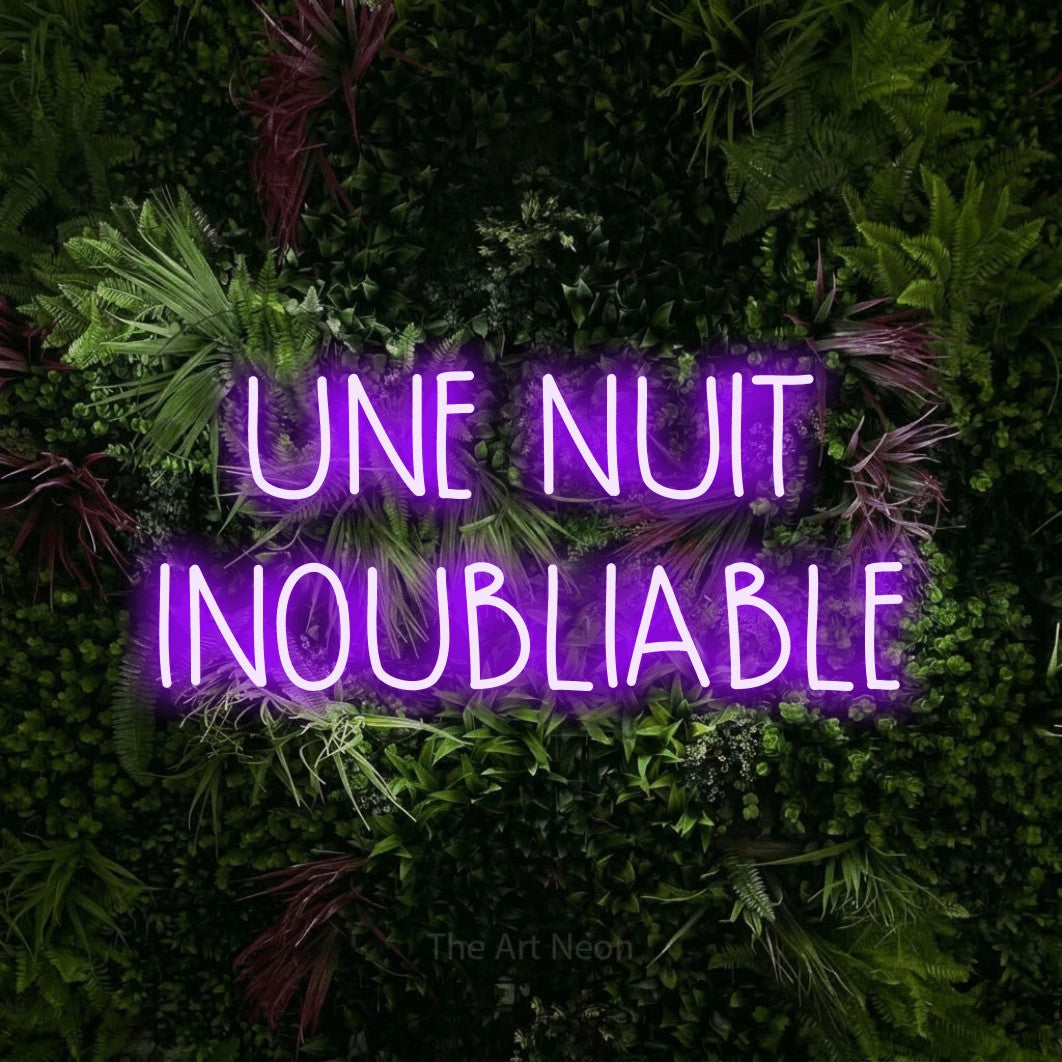 LED neon sign reading “UNE NUIT INOUBLIABLE”, arranged in 2 lines.