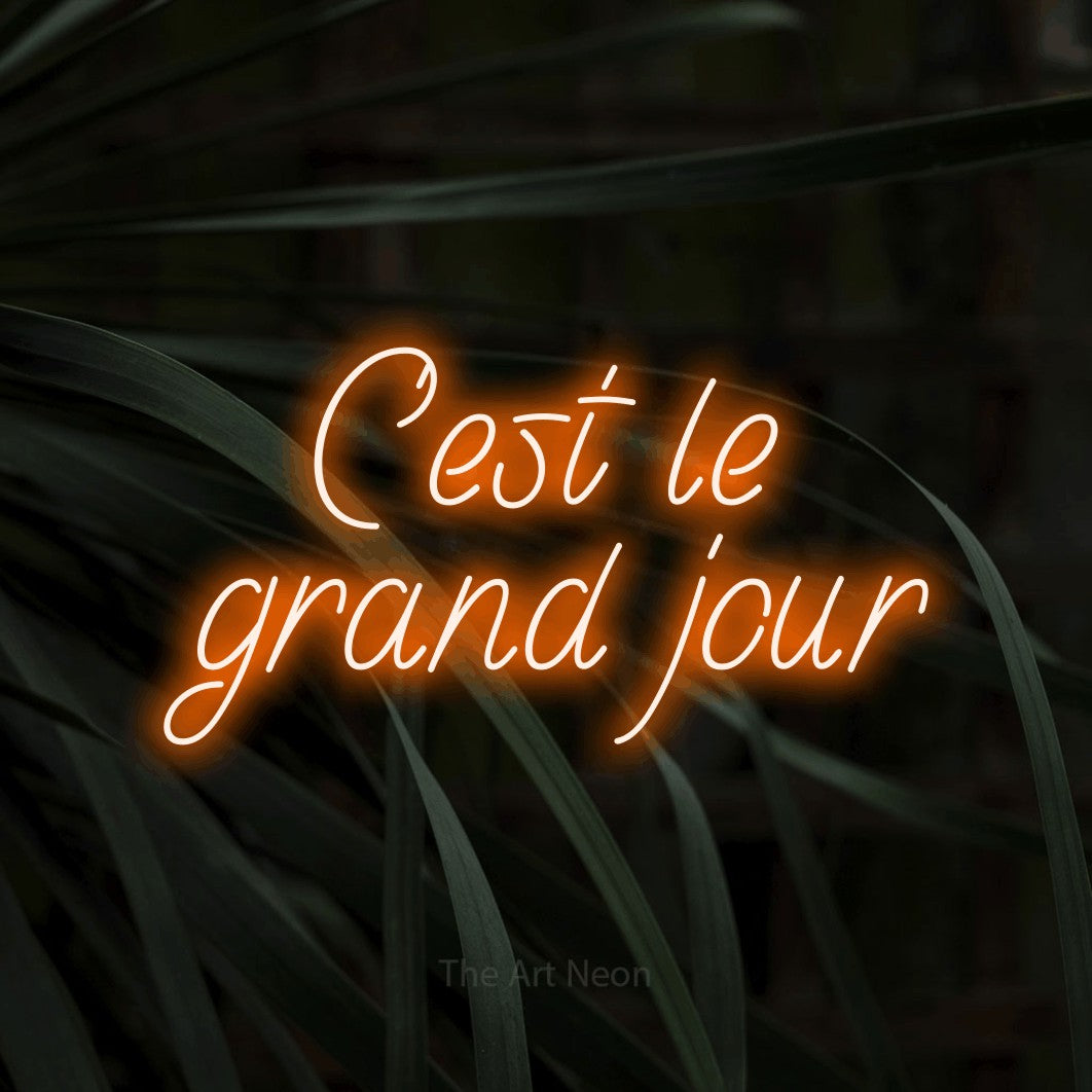 LED neon sign reading “C'est le grand jour”, arranged in 2 lines.
