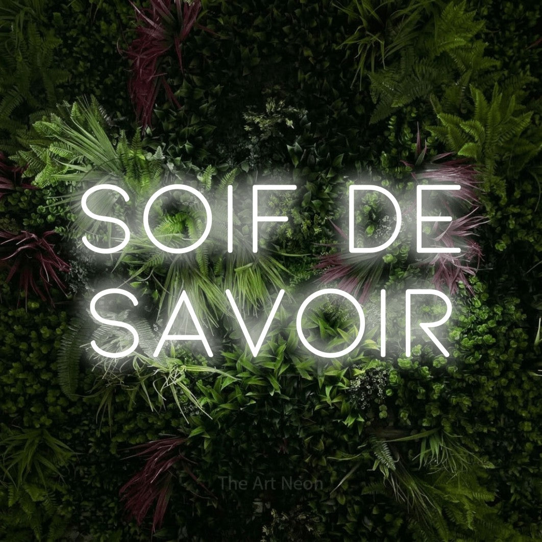 LED neon sign reading “soif de SAVOIR”, arranged in 2 lines.