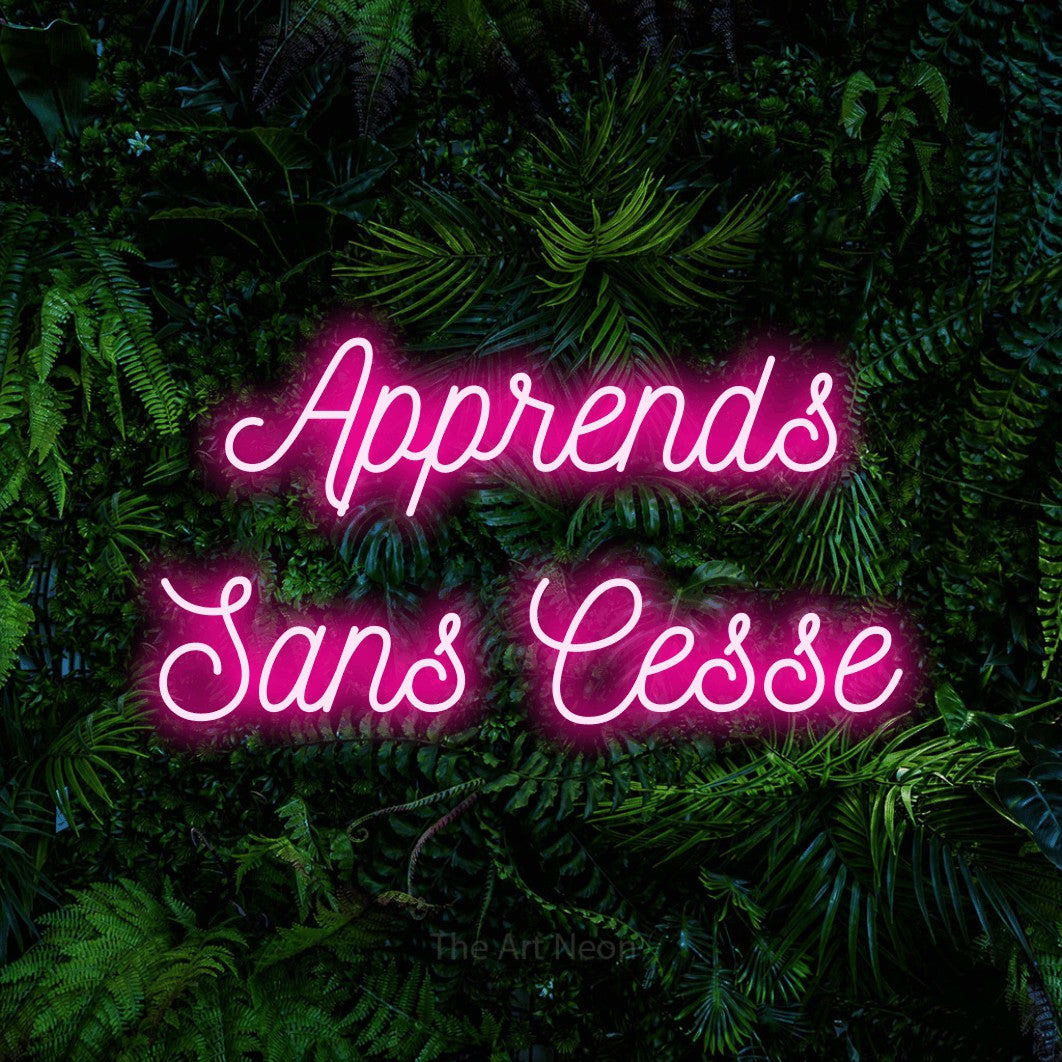 LED neon sign reading “Apprends Sans Cesse”, arranged in 2 lines.