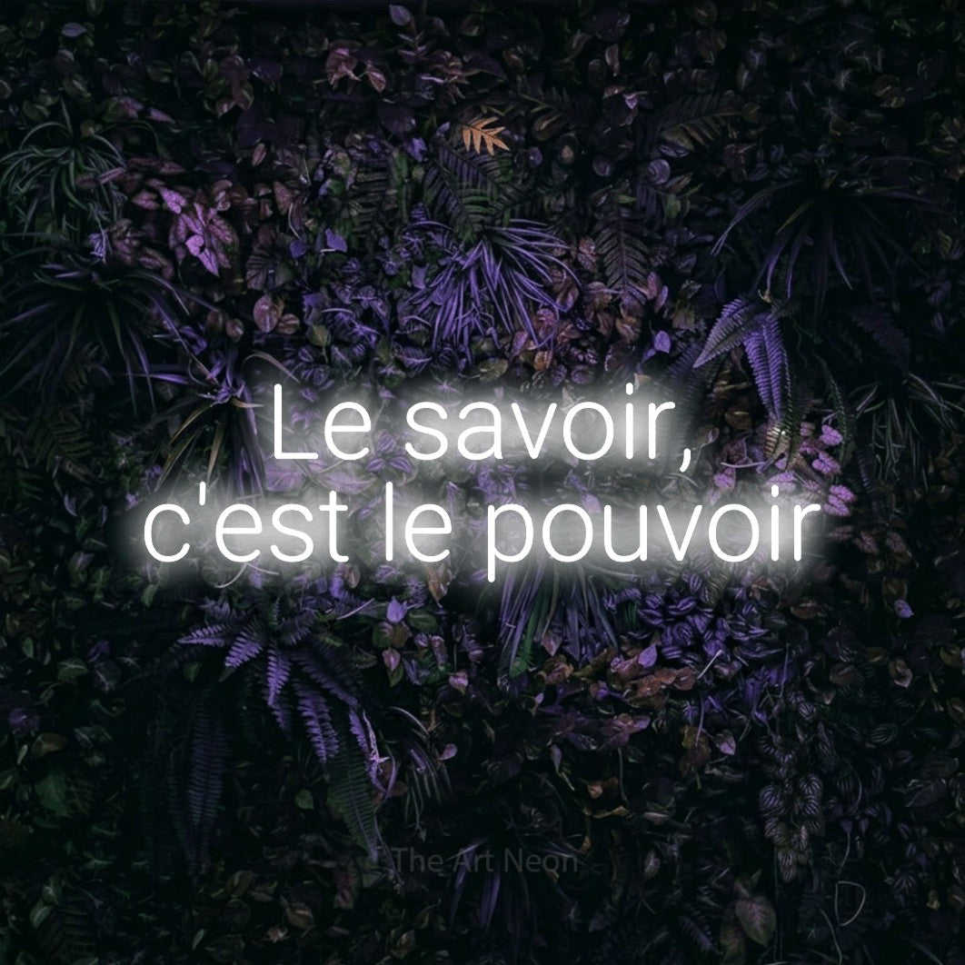 LED neon sign reading “Le savoir, c'est le pouvoir”, arranged in 2 lines.