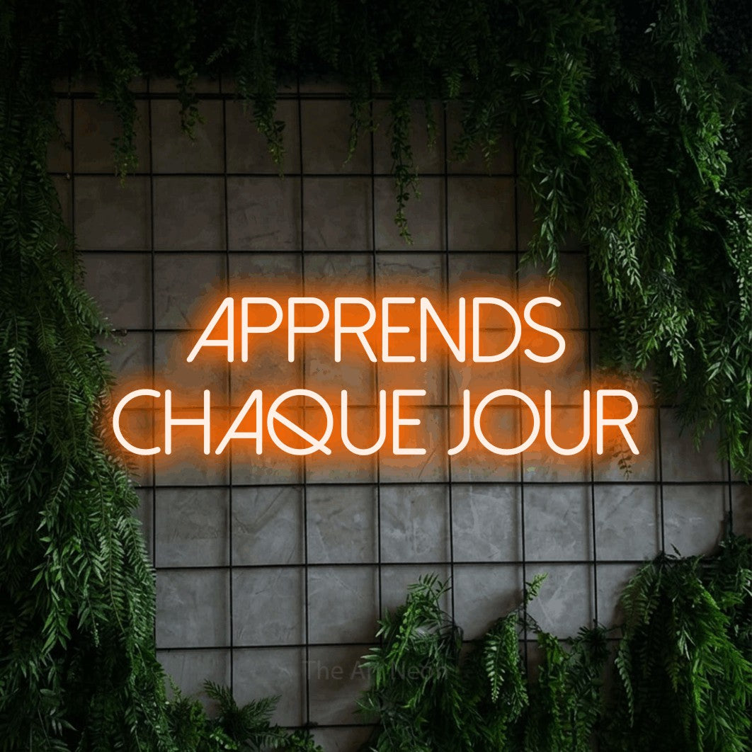 LED neon sign reading “Apprends Chaque Jour”, arranged in 2 lines.