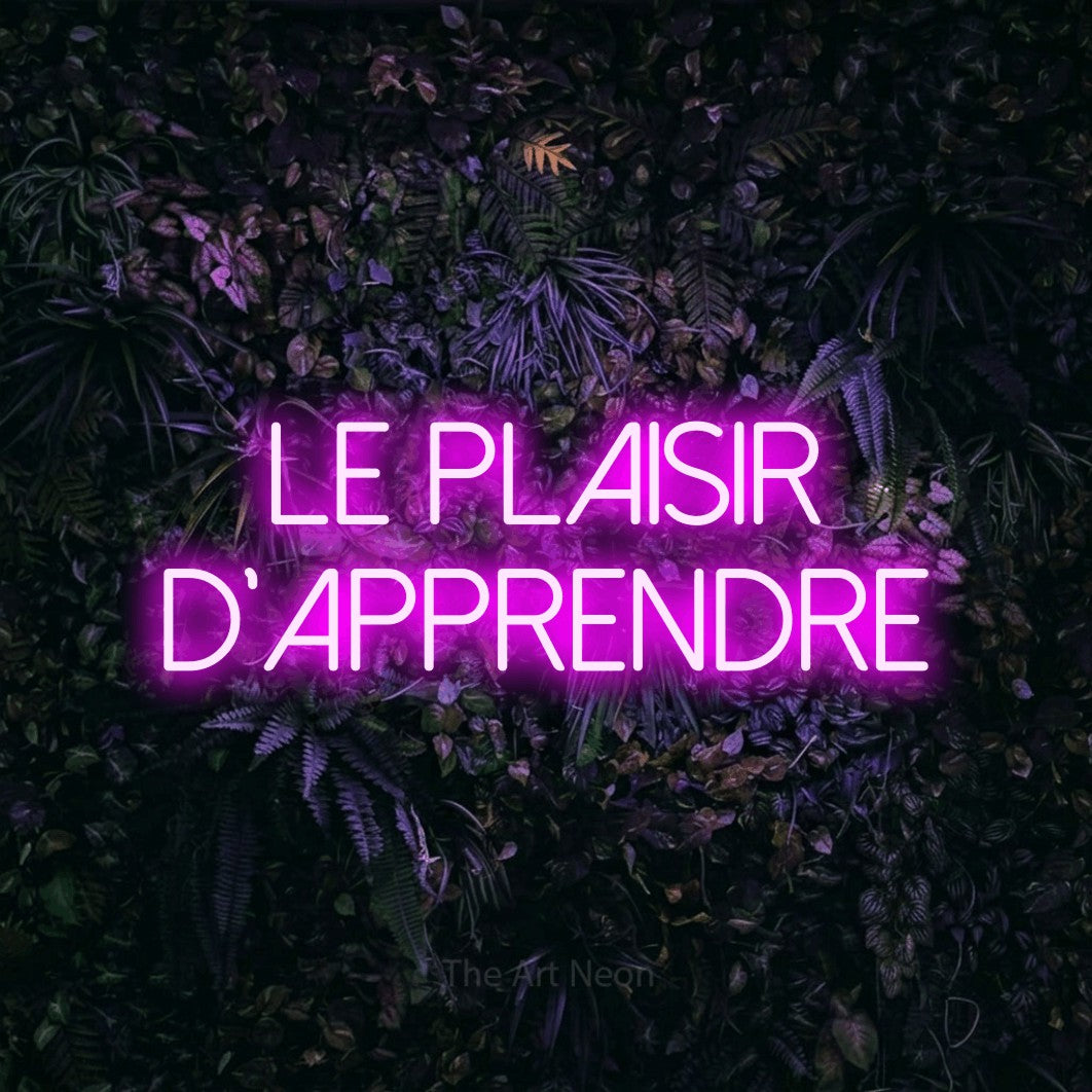 LED neon sign reading “Le plaisir d'apprendre”, arranged in 2 lines.