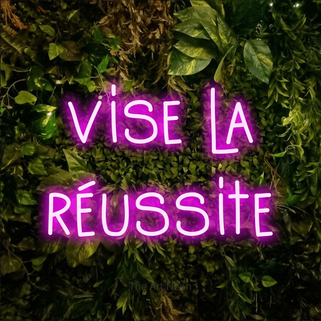 LED neon sign reading “vise la réussite”, arranged in 2 lines.