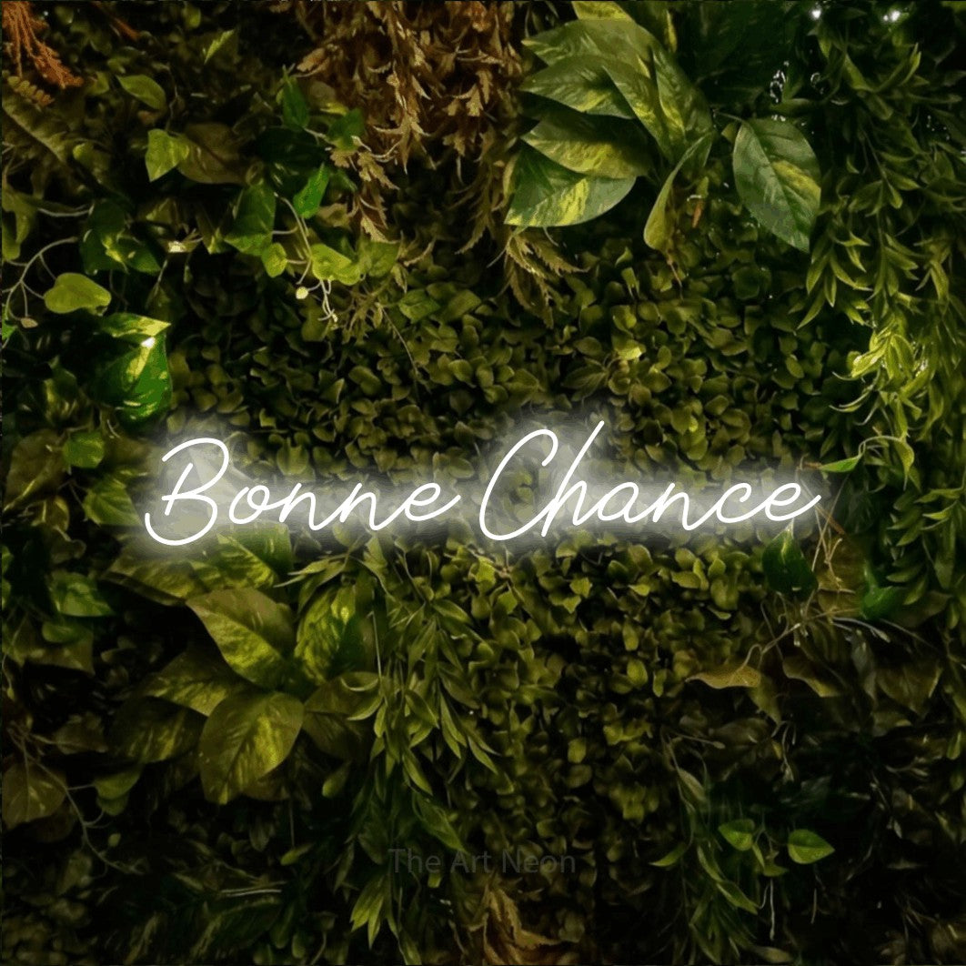 LED neon sign reading “Bonne Chance”, arranged in a single line.