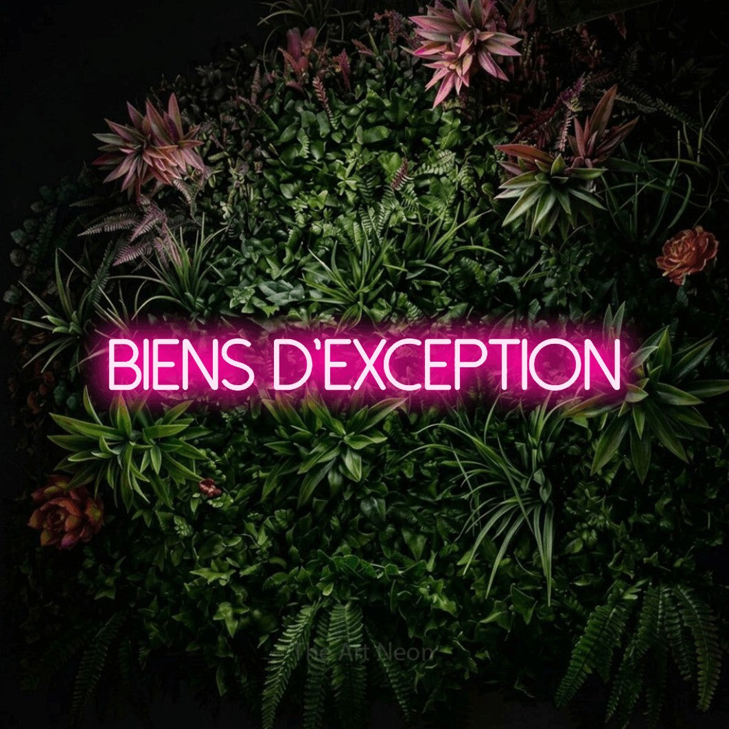 LED neon sign reading “biens d'exception”, arranged in a single line.