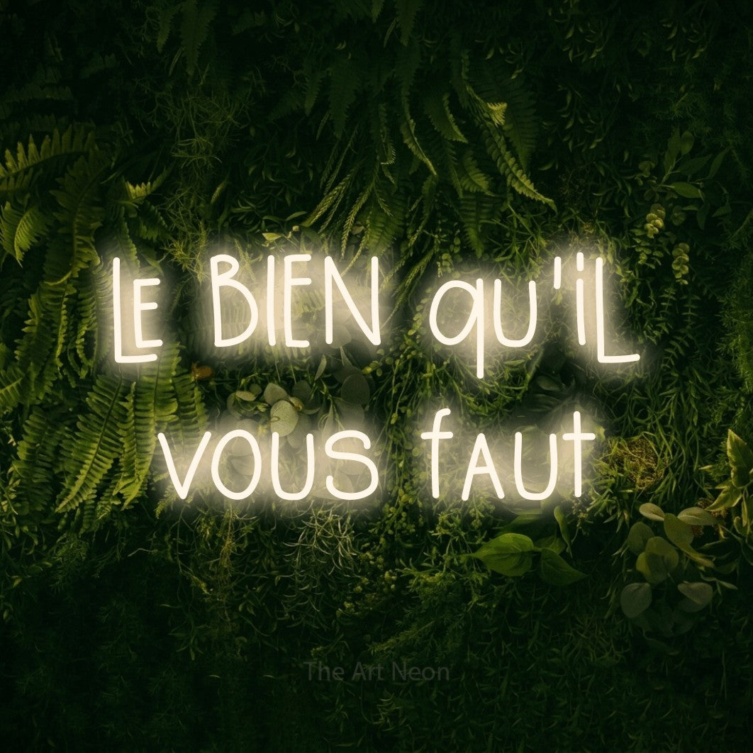 LED neon sign reading “le BIEN qu'il vous faut”, arranged in 2 lines.