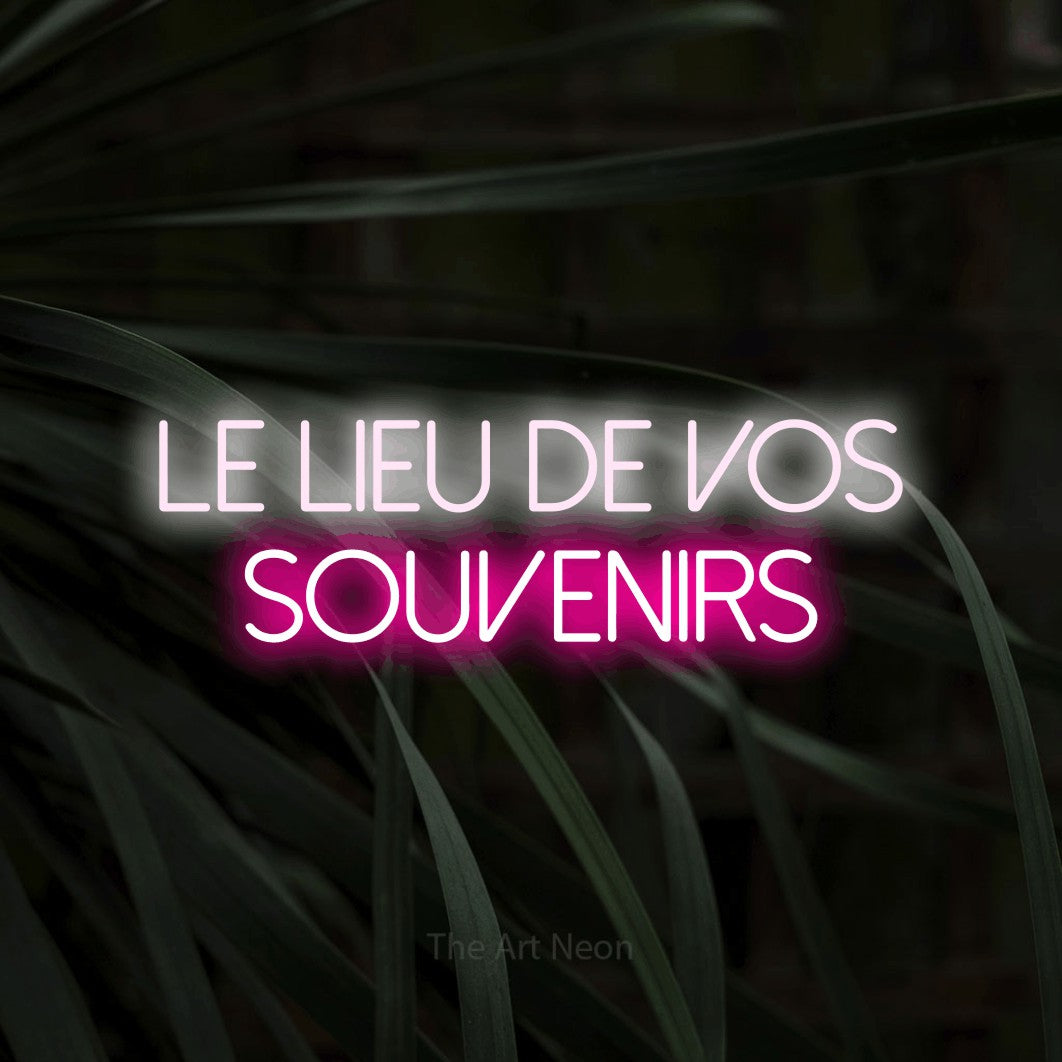 LED neon sign reading “Le Lieu De Vos Souvenirs”, arranged in 2 lines.