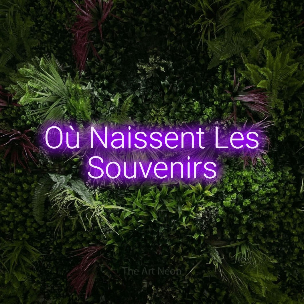 LED neon sign reading “Où Naissent Les Souvenirs”, arranged in 2 lines.