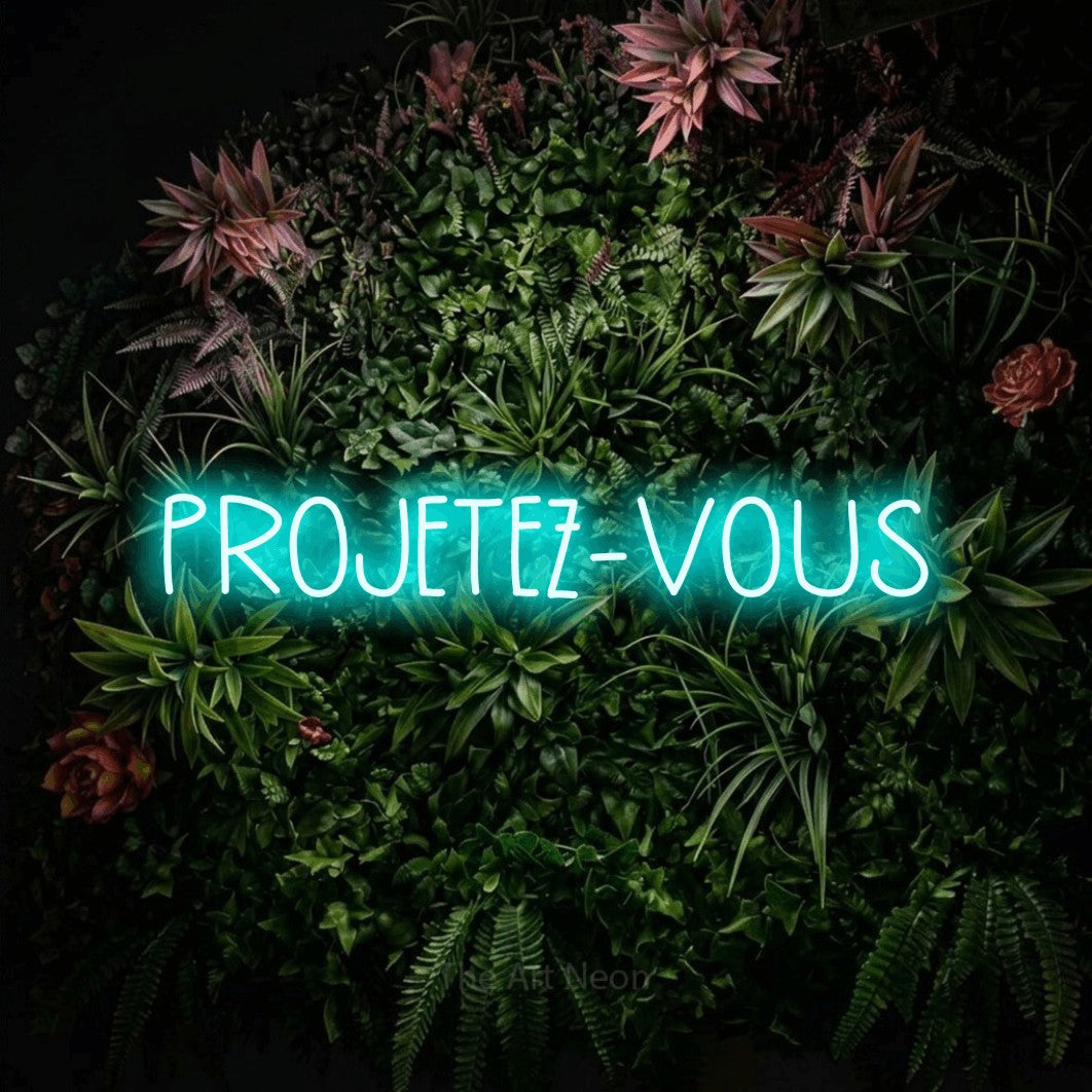 LED neon sign reading “PROJETEZ-VOUS”, arranged in a single line.