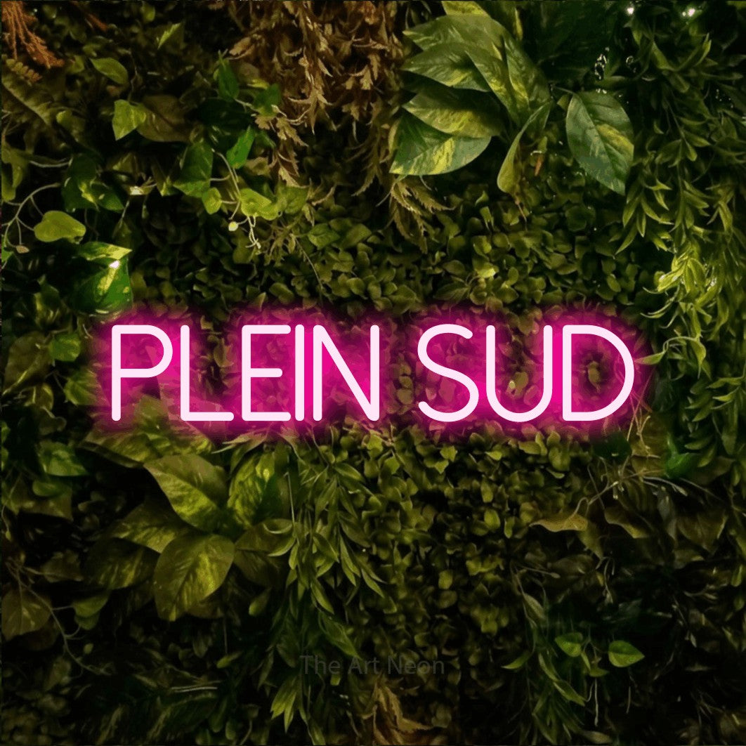 LED neon sign reading “PLEIN SUD”, arranged in a single line.