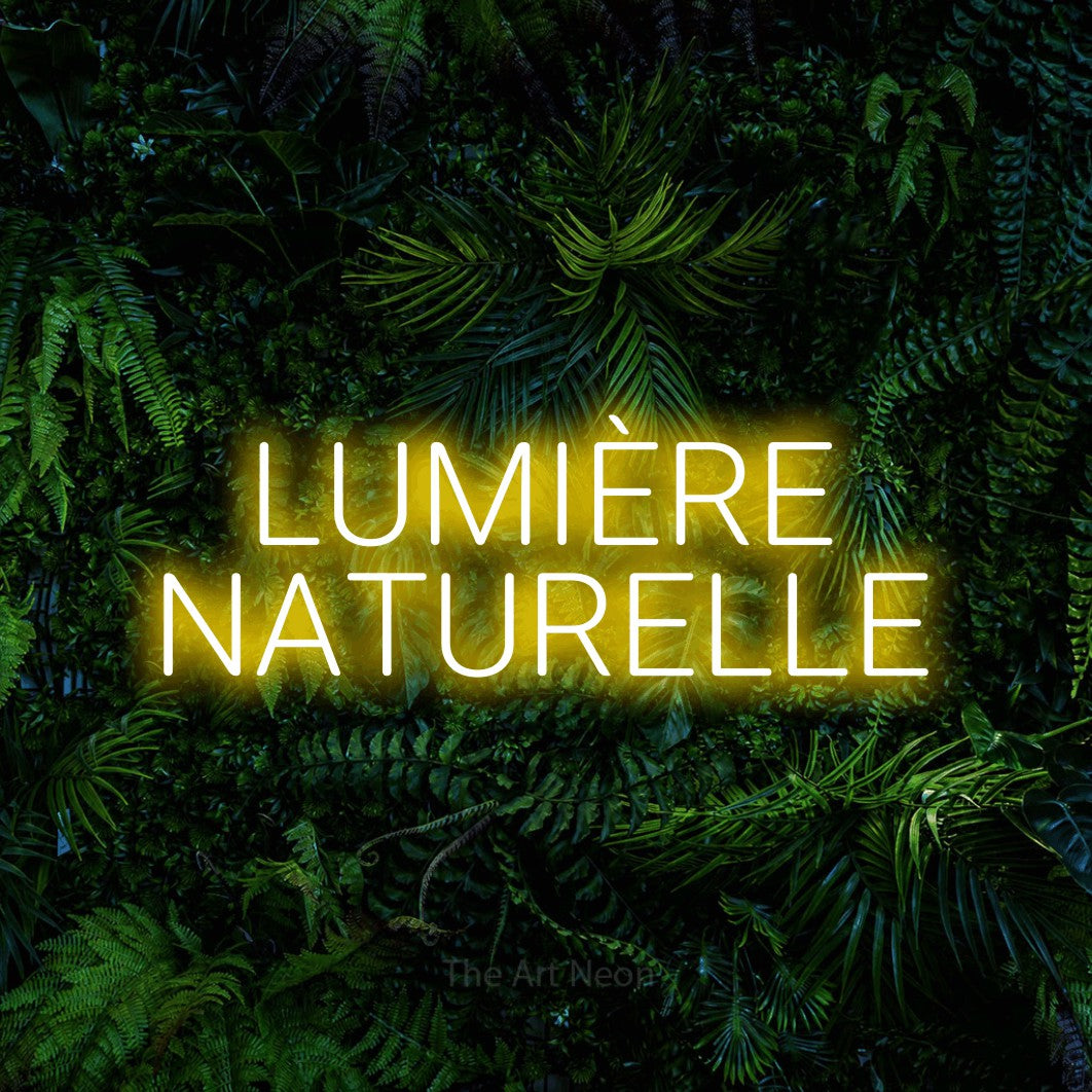 LED neon sign reading “LUMIÈRE NATURELLE”, arranged in 2 lines.