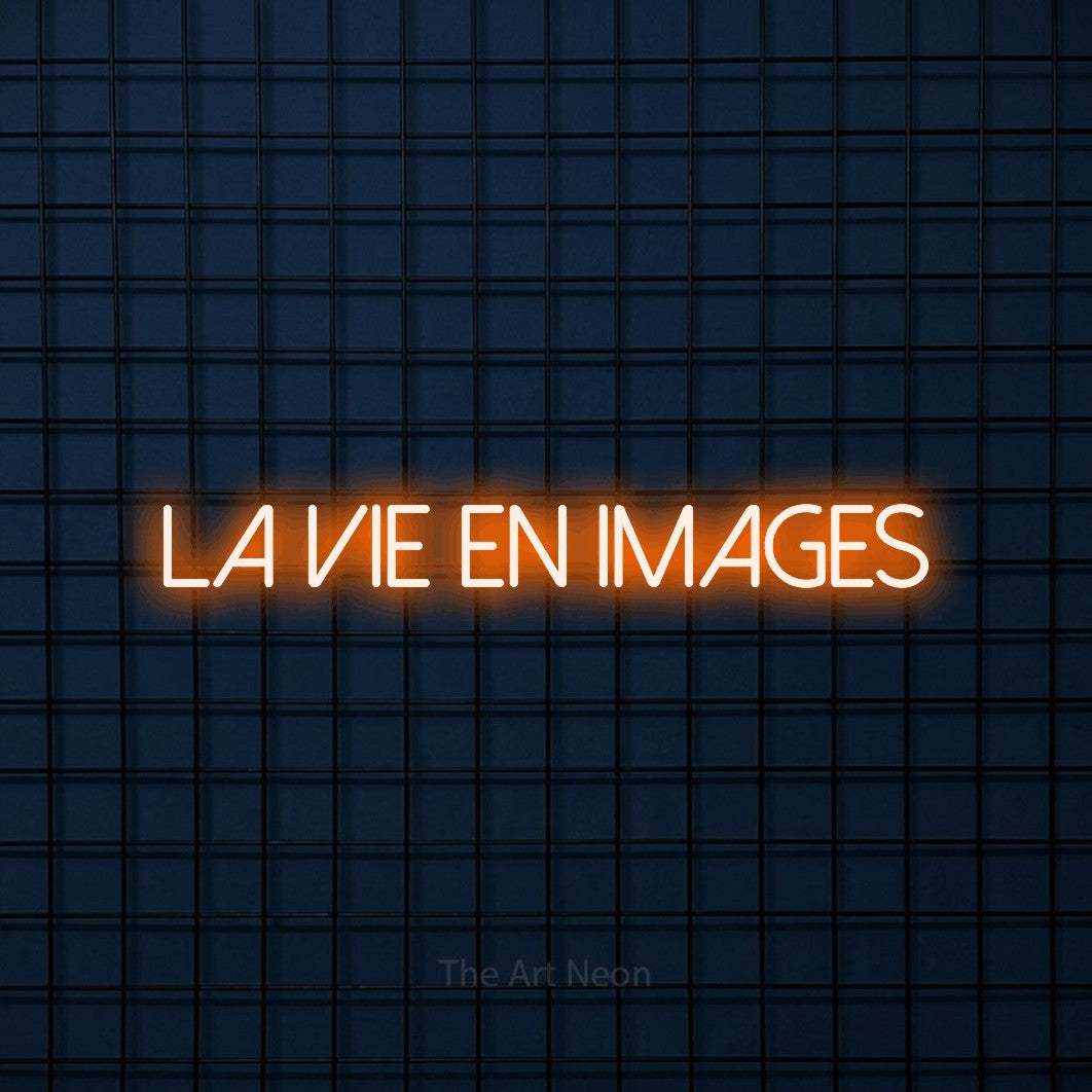 LED neon sign reading “La Vie En Images”, arranged in a single line.
