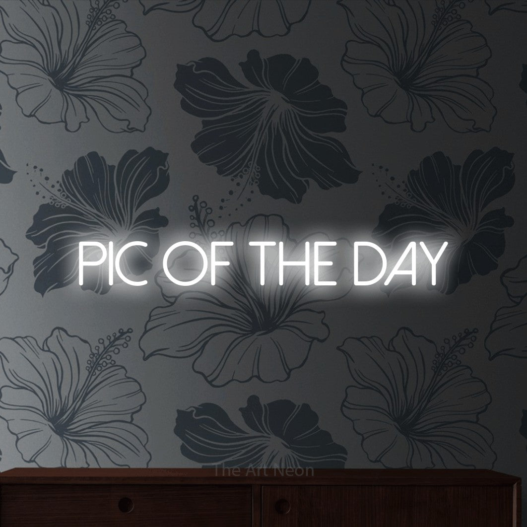 LED neon sign reading “pic of the day”, arranged in a single line.