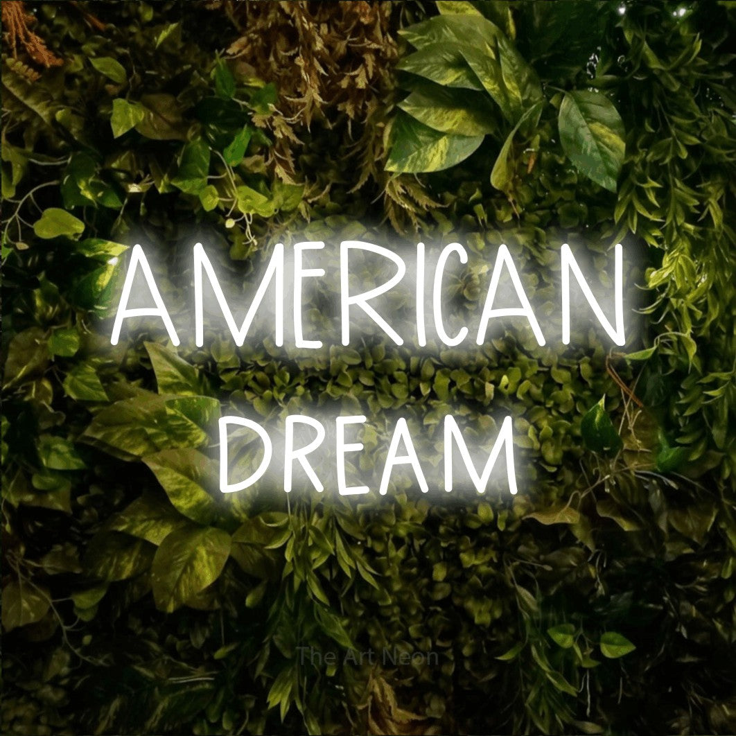 LED neon sign reading “AMERICAN dream”, arranged in 2 lines.