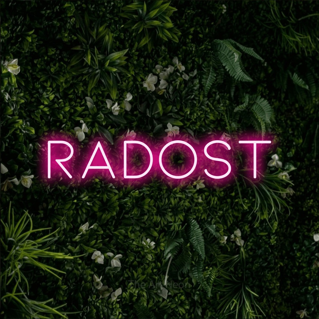 LED neon sign reading “Radost”, arranged in a single line.