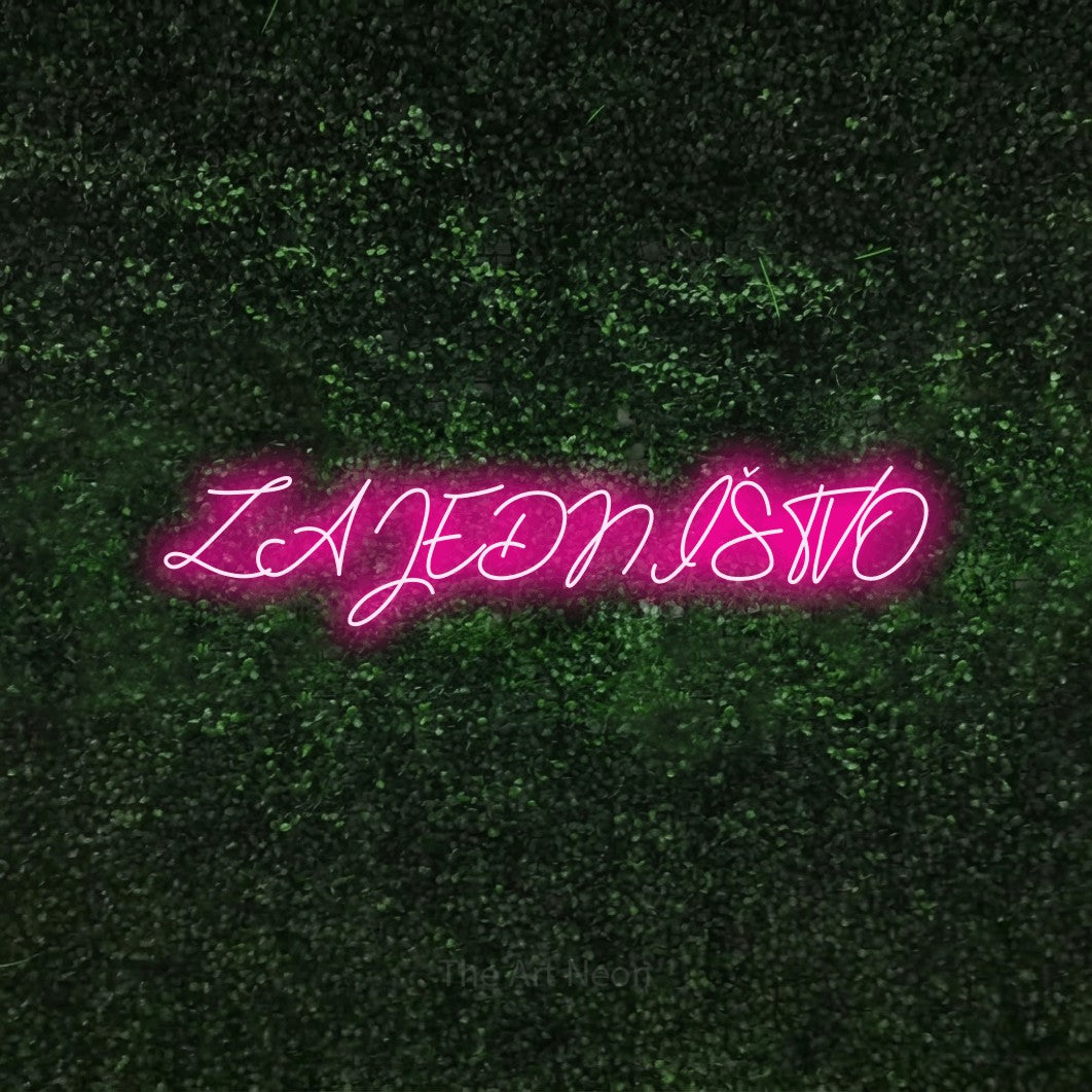 LED neon sign reading “ZAJEDNIŠTVO”, arranged in a single line.