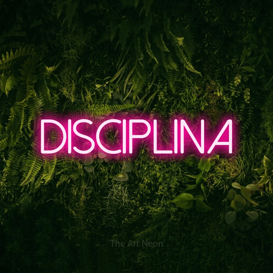 LED neon sign reading “Disciplina”, arranged in a single line.